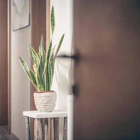 Garni Montana * 佩尔蒂绍