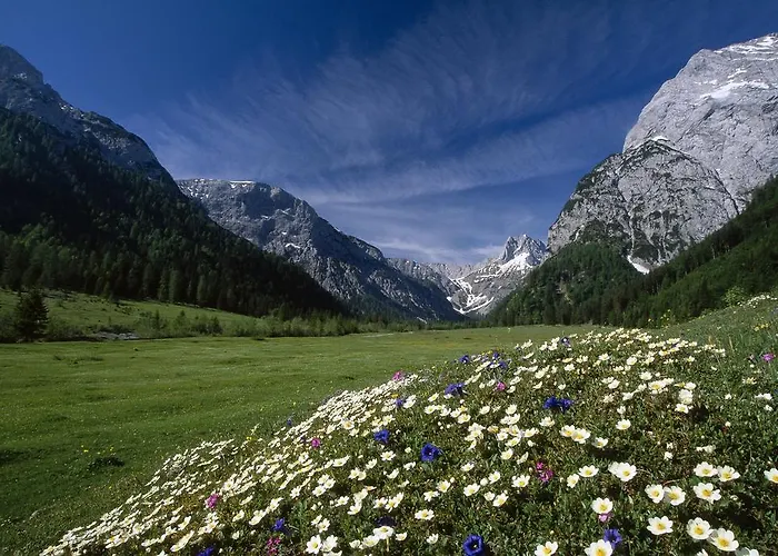 公寓 Garni Montana 佩尔蒂绍