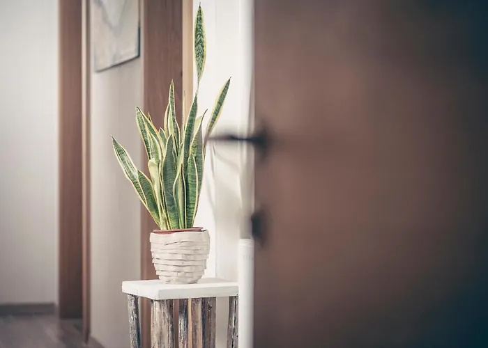 Garni Montana * 佩尔蒂绍