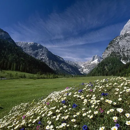 Апартаменты Garni Montana Пертизау